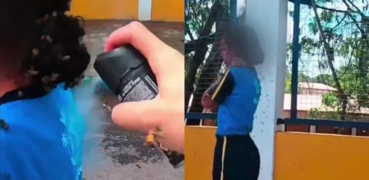 #VIDEO // Motoboy se enfrenta a un enjambre de abejas para salvar a una niña en Brasil
