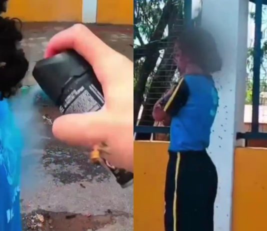 #VIDEO // Motoboy se enfrenta a un enjambre de abejas para salvar a una niña en Brasil