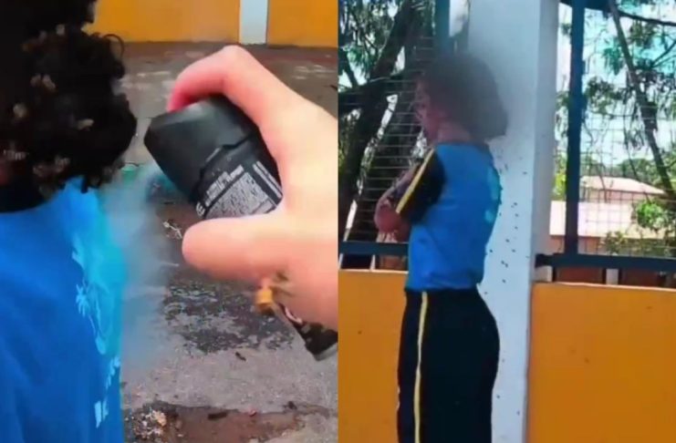#VIDEO // Motoboy se enfrenta a un enjambre de abejas para salvar a una niña en Brasil