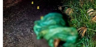 Localizan sin vida a hombre reportado desaparecido en Cotija