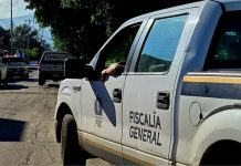 Hallan cadaver putrefacto en predio de la tenencia de Buenos Aires, en Lázaro Cárdenas