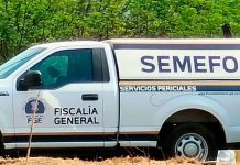 Hallan a un hombre asesinado en predio de Tepalcatepec