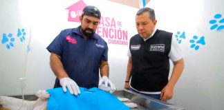 Barragán va por hospitales veterinarios públicos y gratuitos