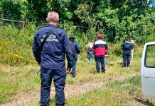 Localizan a hombre asesinado en un predio de Purépero