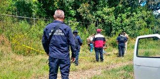 Localizan a hombre asesinado en un predio de Purépero