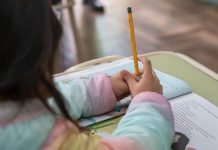 Día Internacional de la Alfabetización: ¿por qué leer y escribir sigue siendo tan importante?