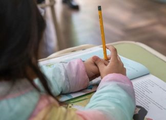 Día Internacional de la Alfabetización: ¿por qué leer y escribir sigue siendo tan importante?