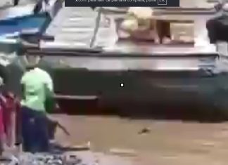 #VIDEO// Un cocodrilo salió del agua y atacó a un pescador en plena jornada