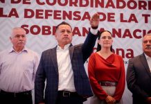 ¿Quién es Carlos Torres Piña, el nuevo coordinador de Morena en Michoacán?