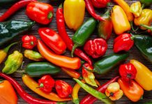 ¿Sin chile no hay fiesta? estas son las variedades que le ponen sabor a las fiestas patrias este 15 de septiembre