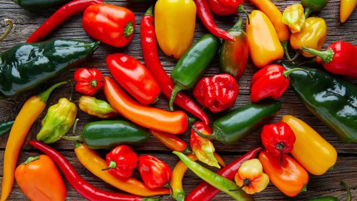 picante-143034-1024x576