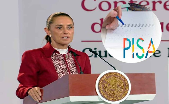 pisa-sheinbuam