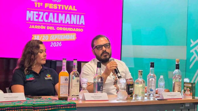 produccion-mezcal-michoacan-negocio-rentable-exportacion