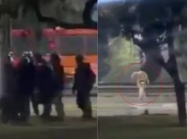#VIDEO // Captan momento en que menor es atropellado al huir de repartidores en Argentina