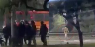 #VIDEO // Captan momento en que menor es atropellado al huir de repartidores en Argentina