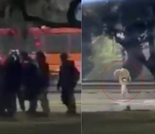 #VIDEO // Captan momento en que menor es atropellado al huir de repartidores en Argentina