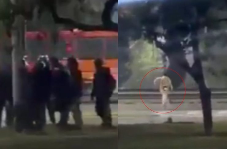 #VIDEO // Captan momento en que menor es atropellado al huir de repartidores en Argentina