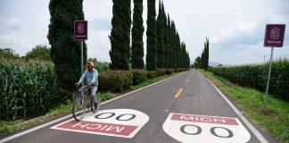 Rescate carretero de 3 mil km disminuye tiempos de traslado y favorece la economía: Rogelio Zarazúa