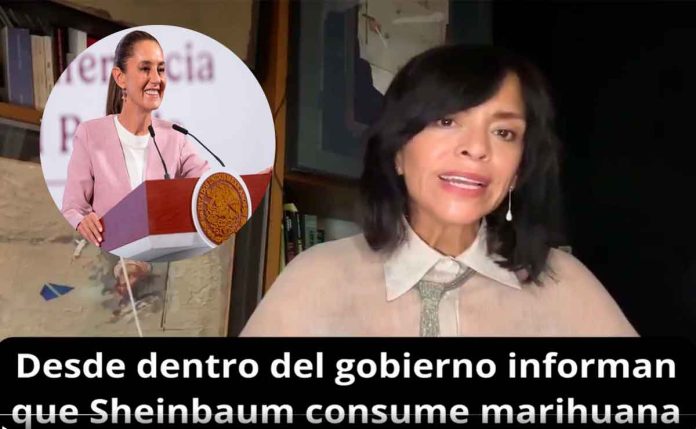 sheinbuam-hernandez