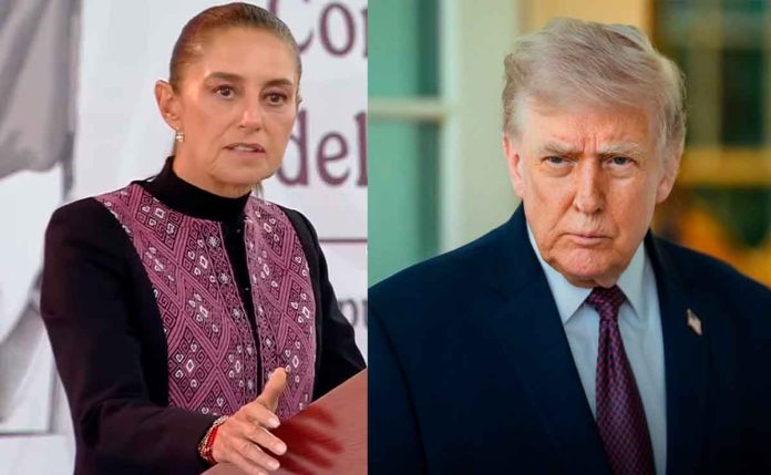sheinbuam-trump