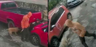#VIDEO // Sujeto acorrala y apuñala a una mujer que paseaba a su perro en Naucalpan