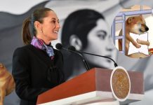 ¿Adiós a los memes? Esto propone la llamada ‘Ley Antimemes’ en México