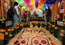 Instala IMPA altar dedicado a animales de compañía por Noche de Muertos