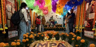 Instala IMPA altar dedicado a animales de compañía por Noche de Muertos