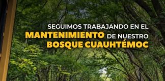 Jiquilpan realiza trabajos de mantenimiento en el Bosque Cuauhtémoc