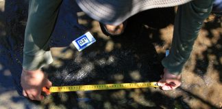 INAH descubre 50 huellas de dinosaurios de hace 65 millones de años en Apatzingán, Michoacán
