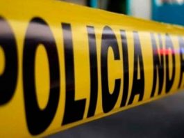 Tragedia en Estados Unidos: fallece menor tras ser agredido por un perro