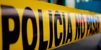 Tragedia en Estados Unidos: fallece menor tras ser agredido por un perro