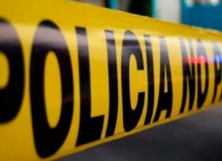 Tragedia en Estados Unidos: fallece menor tras ser agredido por un perro