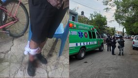 Balean y hieren a “La Pollita”, en El Vergel de Zamora