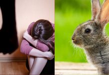 Condenan a cuatro años de prisión a un hombre que torturó a su pareja, matando y concinando a su mascota