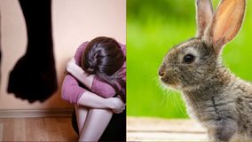 Condenan a cuatro años de prisión a un hombre que torturó a su pareja, matando y concinando a su mascota