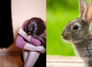 Condenan a cuatro años de prisión a un hombre que torturó a su pareja, matando y concinando a su mascota