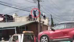 #VIDEO // Capturan a sujeto acusado de violencia doméstica que intentó escapar por las azoteas en Amozoc