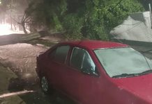 Tromba derriba árboles y genera inundaciones en varios puntos de Uruapan