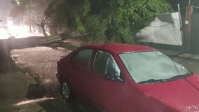Tromba derriba árboles y genera inundaciones en varios puntos de Uruapan
