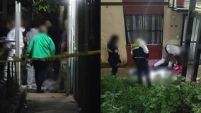 Muere “El Pelón” tras riña en el fraccionamiento Camponubes, en Morelia