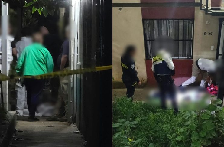 Muere “El Pelón” tras riña en el fraccionamiento Camponubes, en Morelia