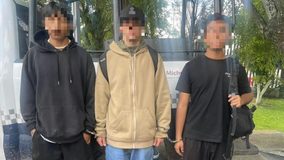 Agrupamiento Equino detiene a tres jóvenes en posesión de marihuana y réplica de pistola, en Morelia