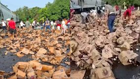 #VIDEO // Tren embiste a tráiler cargado con cerveza en Tres Valles, Veracruz; se registran actos de rapiña
