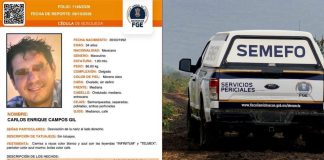 Hallan sin vida a trabajador de Telmex desaparecido en Zamora; estaba en una parcela de Ecuandureo