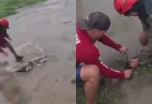 #VIDEO // Desbordamiento de lagunas por el huracán Simón provoca la salida animales salvajes en Colima