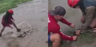 #VIDEO // Desbordamiento de lagunas por el huracán Simón provoca la salida animales salvajes en Colima