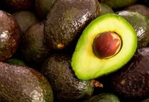 ¿Por qué bajó el precio del aguacate en Michoacán y cómo afecta a productores y consumidores?