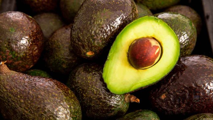 Bajo-el-precio-del-aguacate-en-michoacan