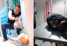Juan Carlos Barragán un aliado permanente del cuidado y bienestar animal: Morelianos